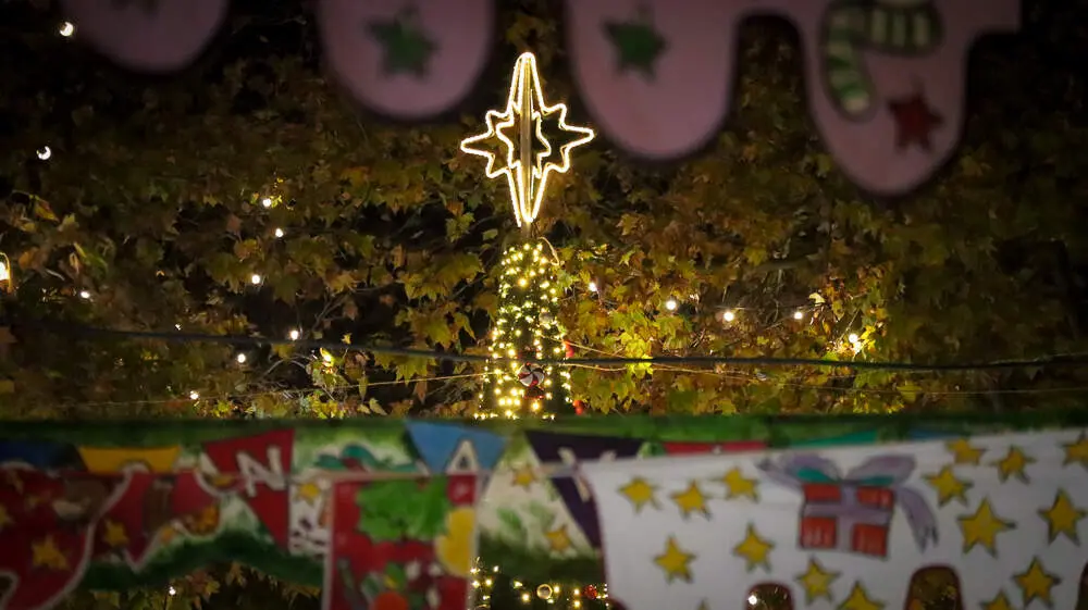Mercado de Navidad-19