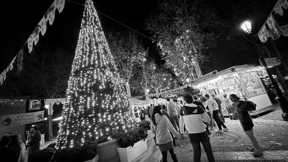 Mercado de Navidad-32