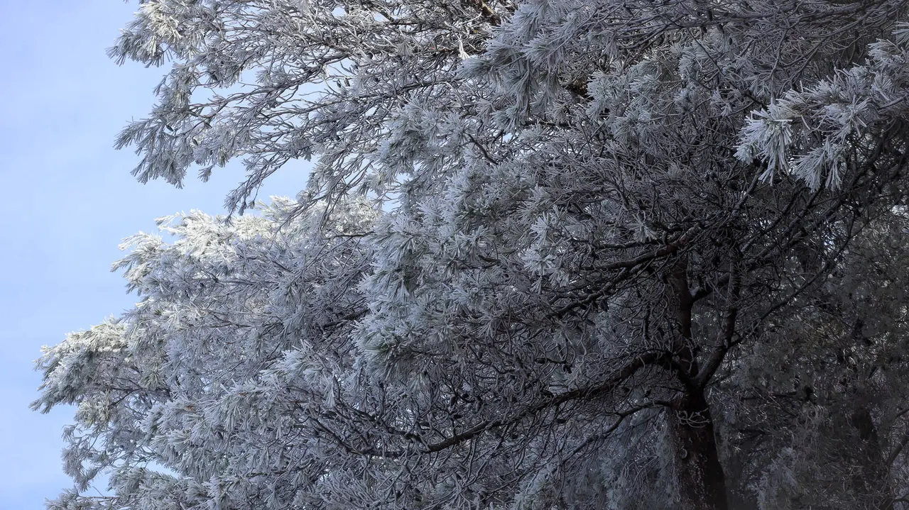Nevada en la Sierra de Cabra-02