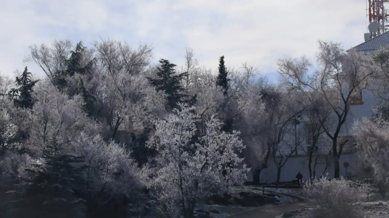 Nevada en la Sierra de Cabra-05