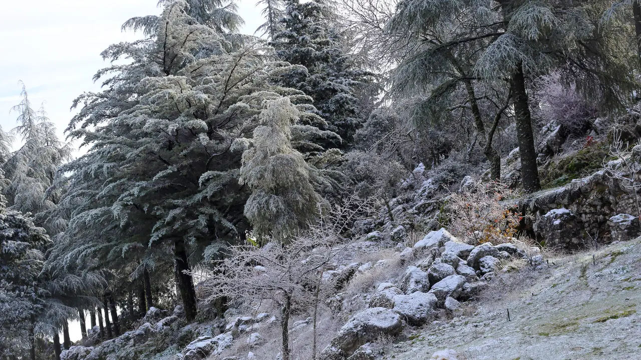 Nevada en la Sierra de Cabra-09