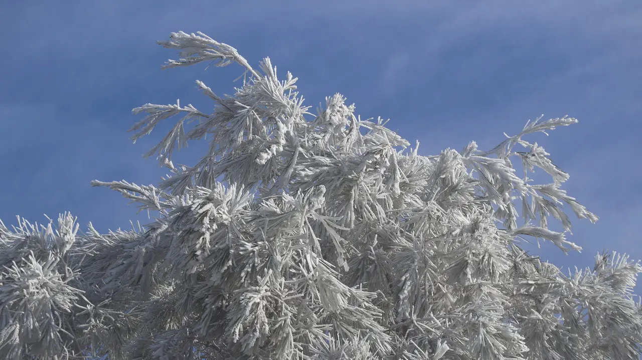 Nevada en la Sierra de Cabra-30