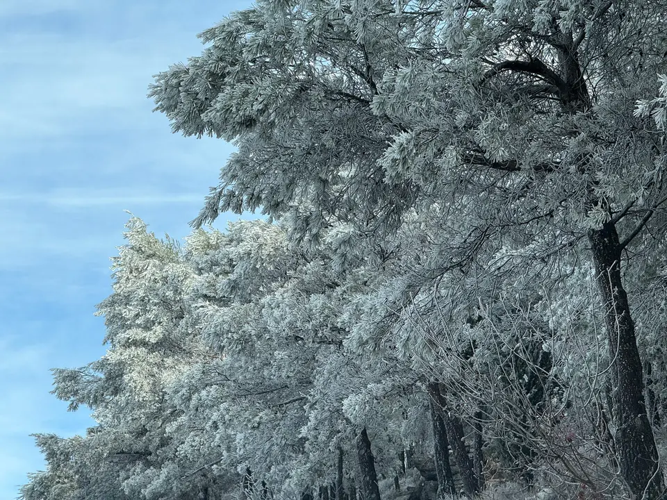 Nevada en la Sierra de Cabra-47