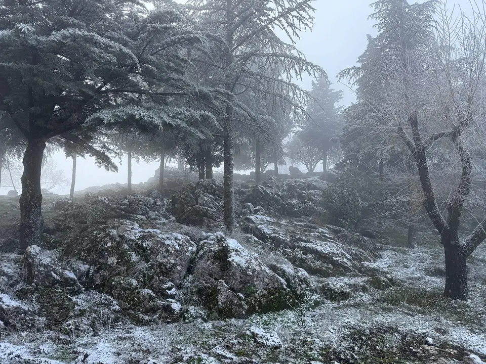Nevada en la Sierra de Cabra-51