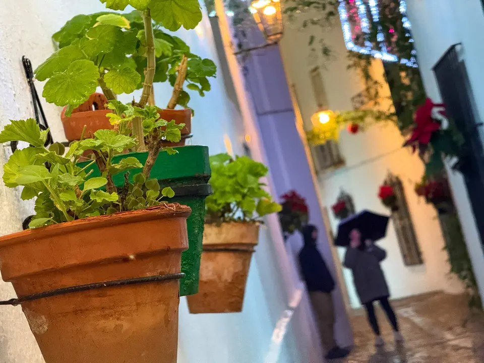 Navidad en el barrio de la Villa de Priego-07