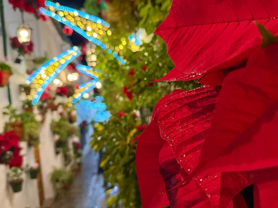 Navidad en el barrio de la Villa de Priego-14