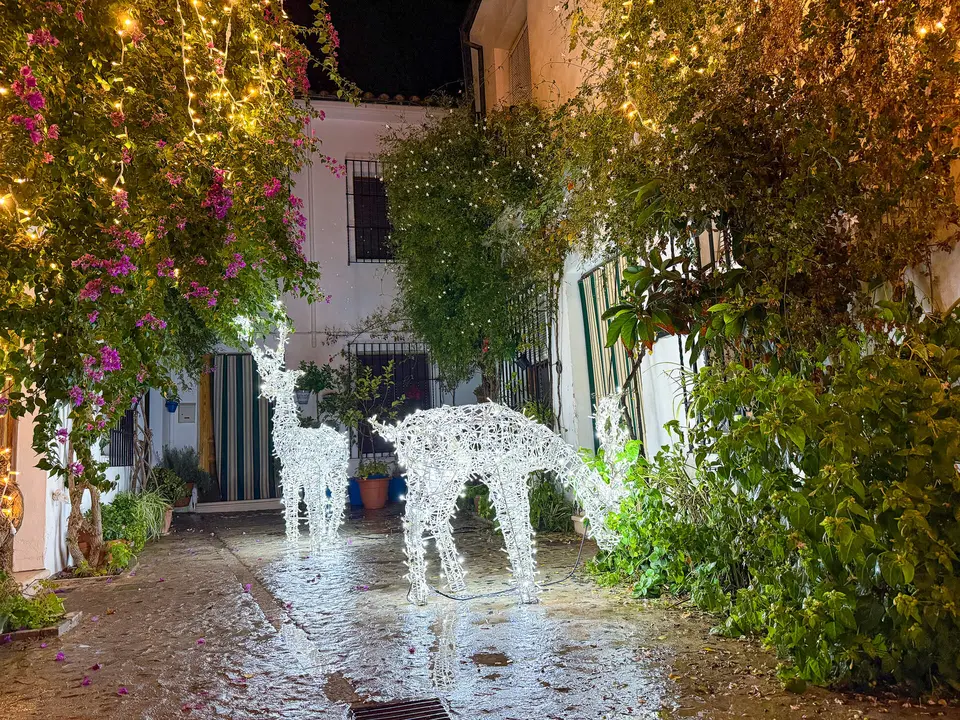 Navidad en el barrio de la Villa de Priego-34