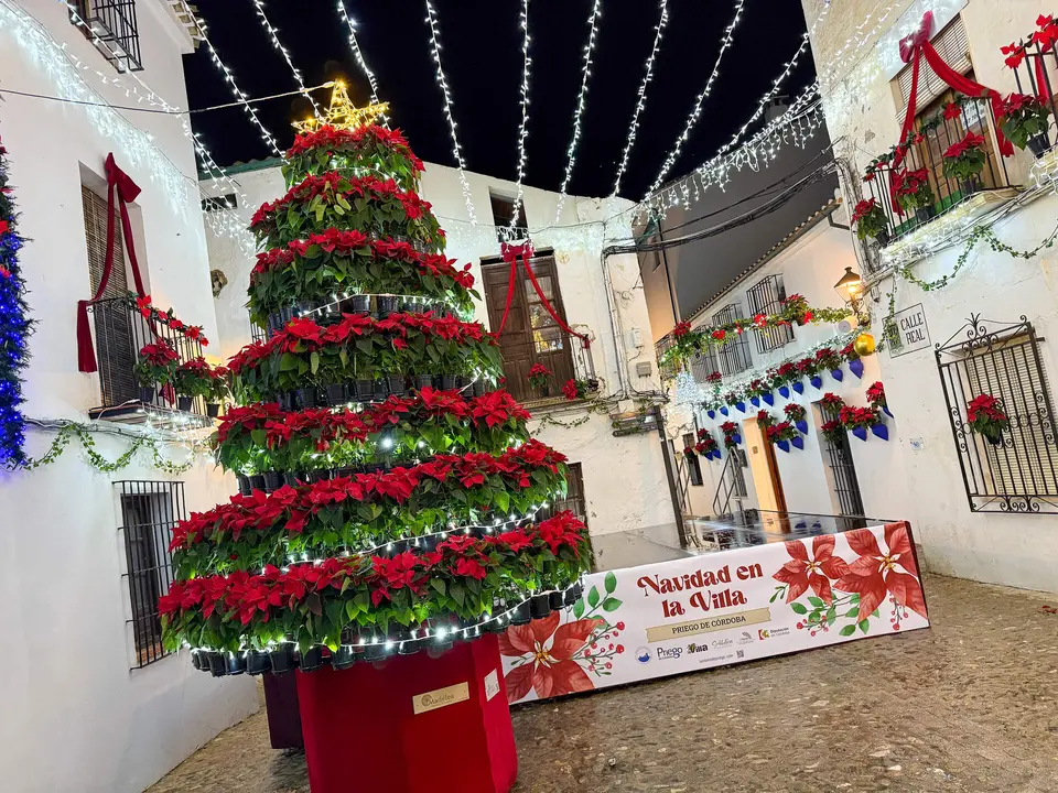 Navidad en el barrio de la Villa de Priego-35