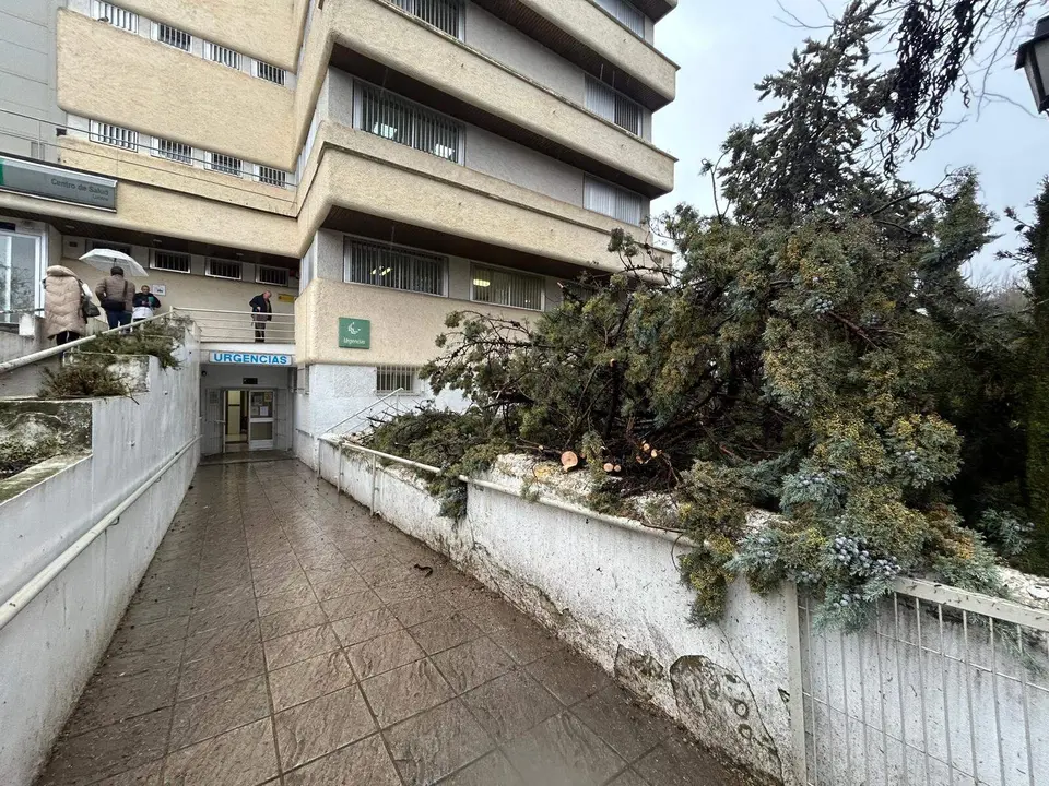 Lucena Caída de árbol junto al acceso de urgencias en el Centro de Salud Lucena I 
