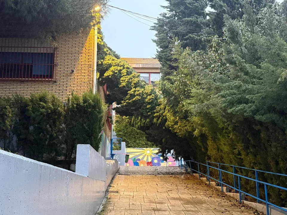 Lucena Caída de un árbol en el patio del colegio El Carmen