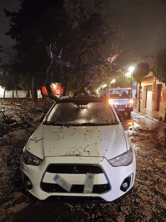 Cabra: Caída de árbol en Acera del Cautivo_(05-02-2026)_2