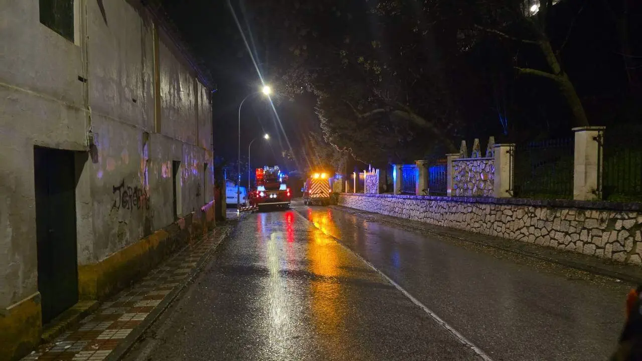 Cabra: Caída de árbol en calle Tinte_(05-02-2026)_1