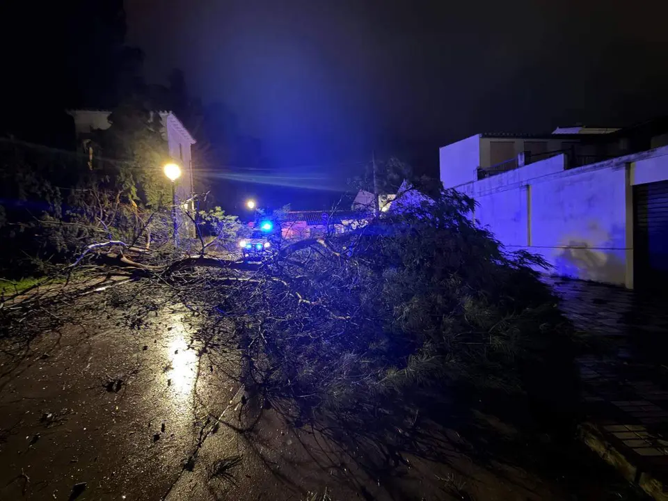 Cabra: Caída de árbol en Parque Europa_(05-02-2026)_1