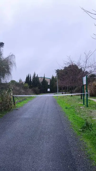 Cabra: Corte en la Vía Verde a consecuencia de un árbol caído a la altura de la Estación de Cabra_(04-02-2026)_1