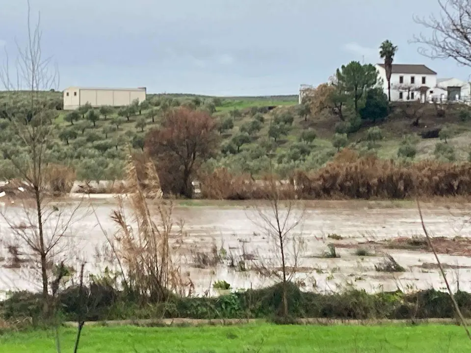 Imagen del desbordamiento del Río Cabra a su paso por Huertas Bajas, ayer mi&eacute;rcoles.