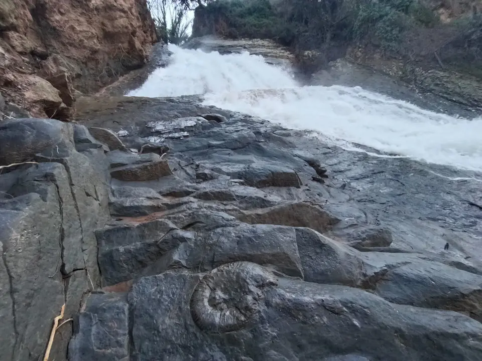 Ammonites en el Salto del Caballo de Almedinilla (fotografía Rubén Jurado)