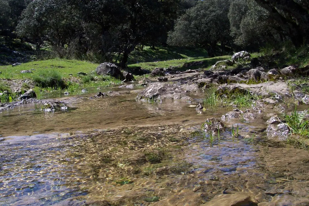 Sendero del R&iacute;o Bail&oacute;n