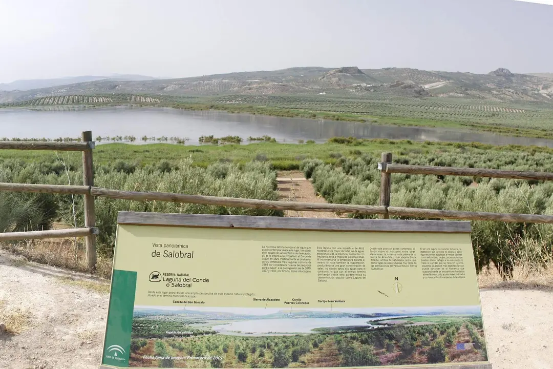 Laguna del Salobral en Luque1.jpg