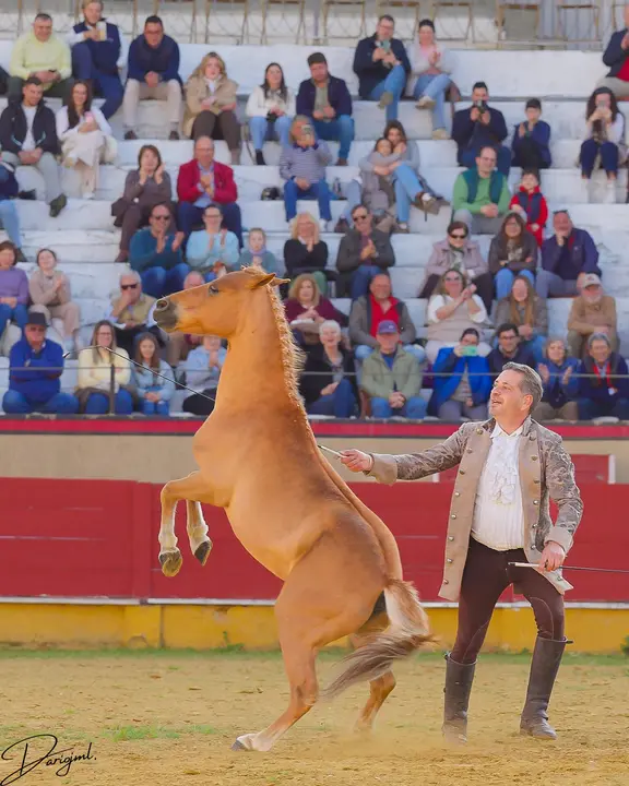 Espectáculo Ecuestra en Cabra (@Dariojesusmorenoleon)12