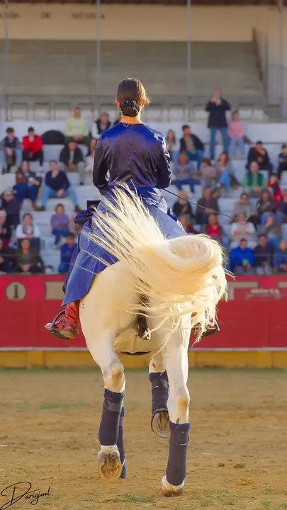 Espectáculo Ecuestra en Cabra (@Dariojesusmorenoleon)19