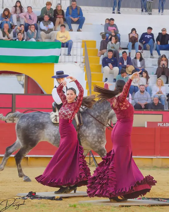 Espectáculo Ecuestra en Cabra (@Dariojesusmorenoleon)33