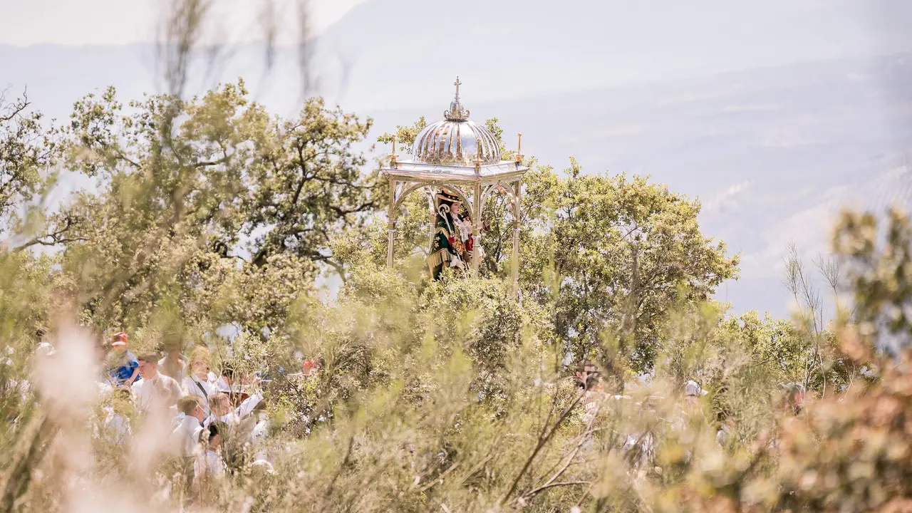Romeria de Bajada 2026 - Sierra (10)