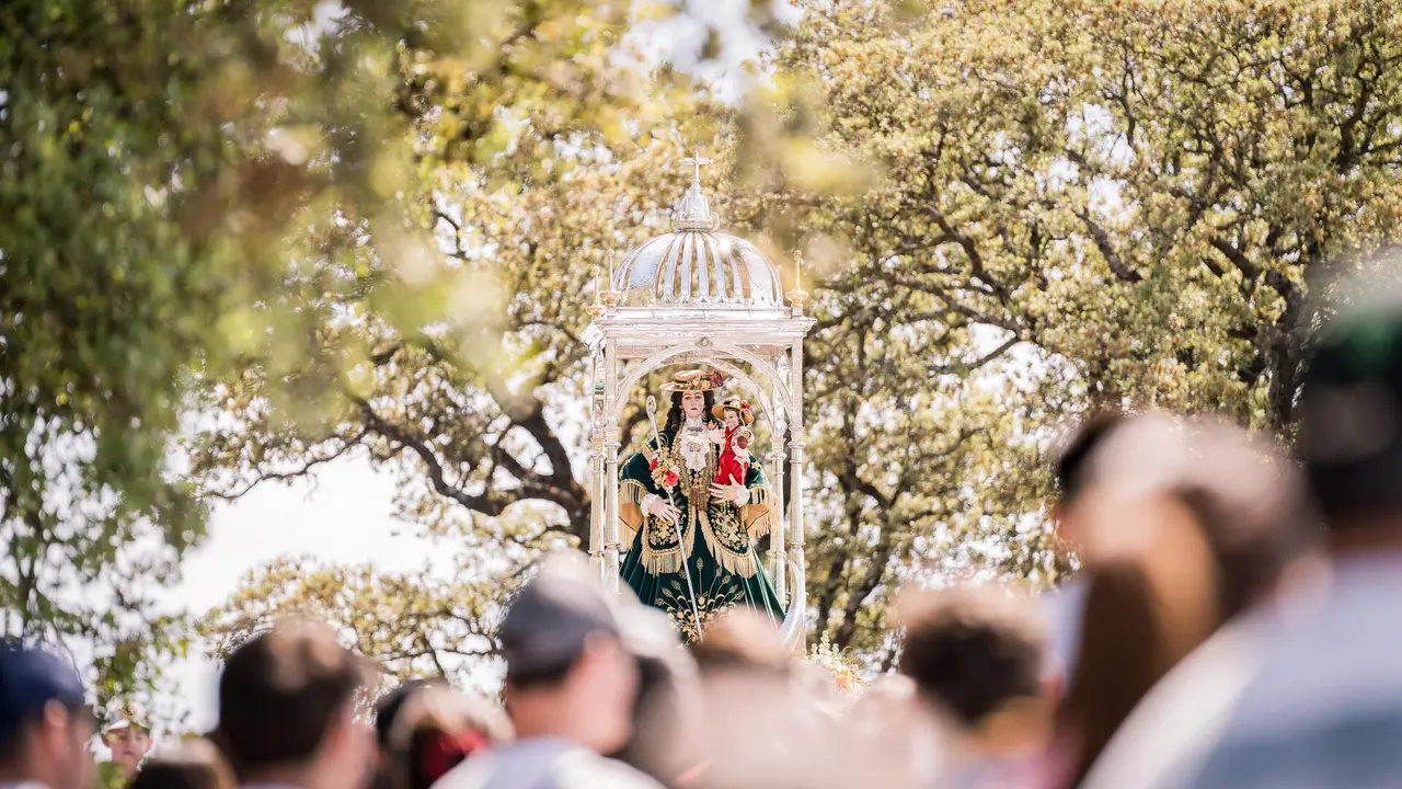 Romeria de Bajada 2026 - Sierra (14)