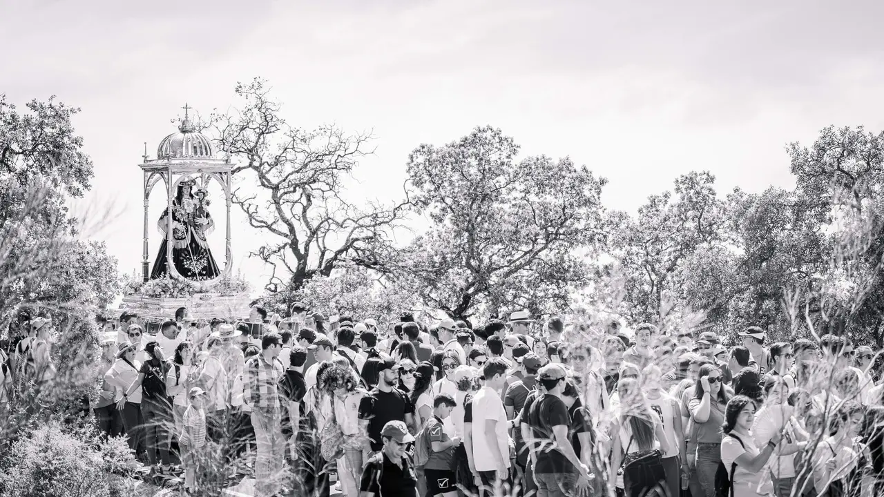 Romeria de Bajada 2026 - Sierra (15)