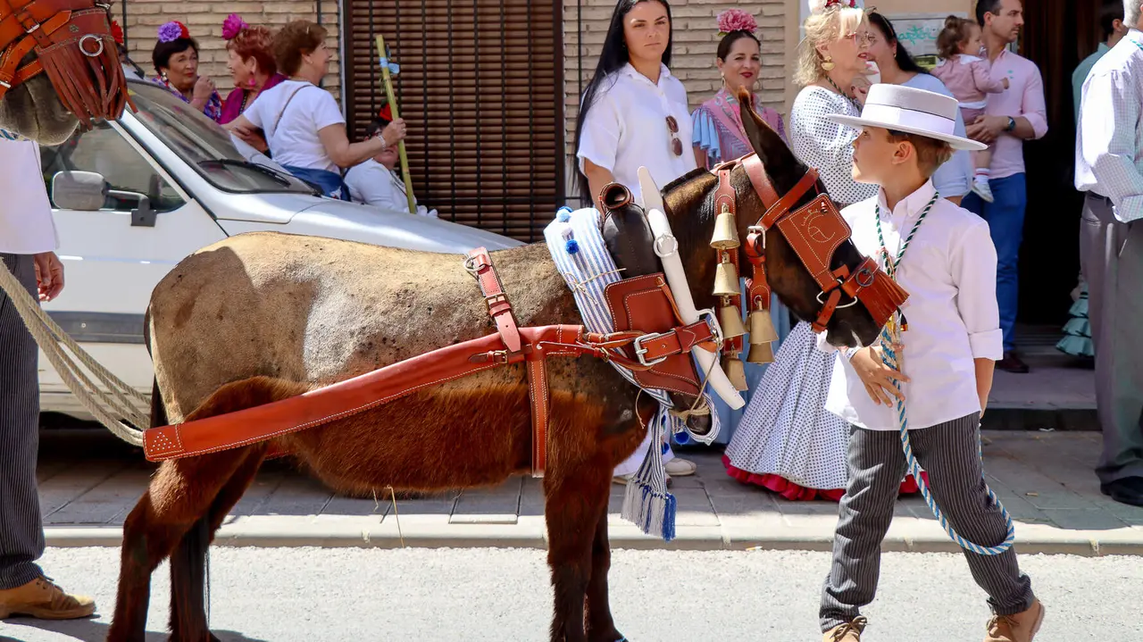 Salida Hdad. Rocío Lucena-29