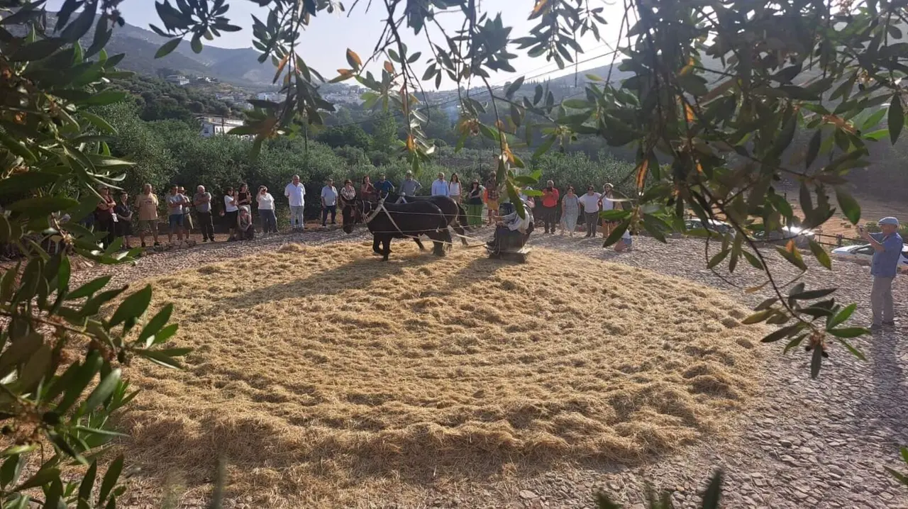 Una imagen de la actividad durante la pasada edici&oacute;n.
