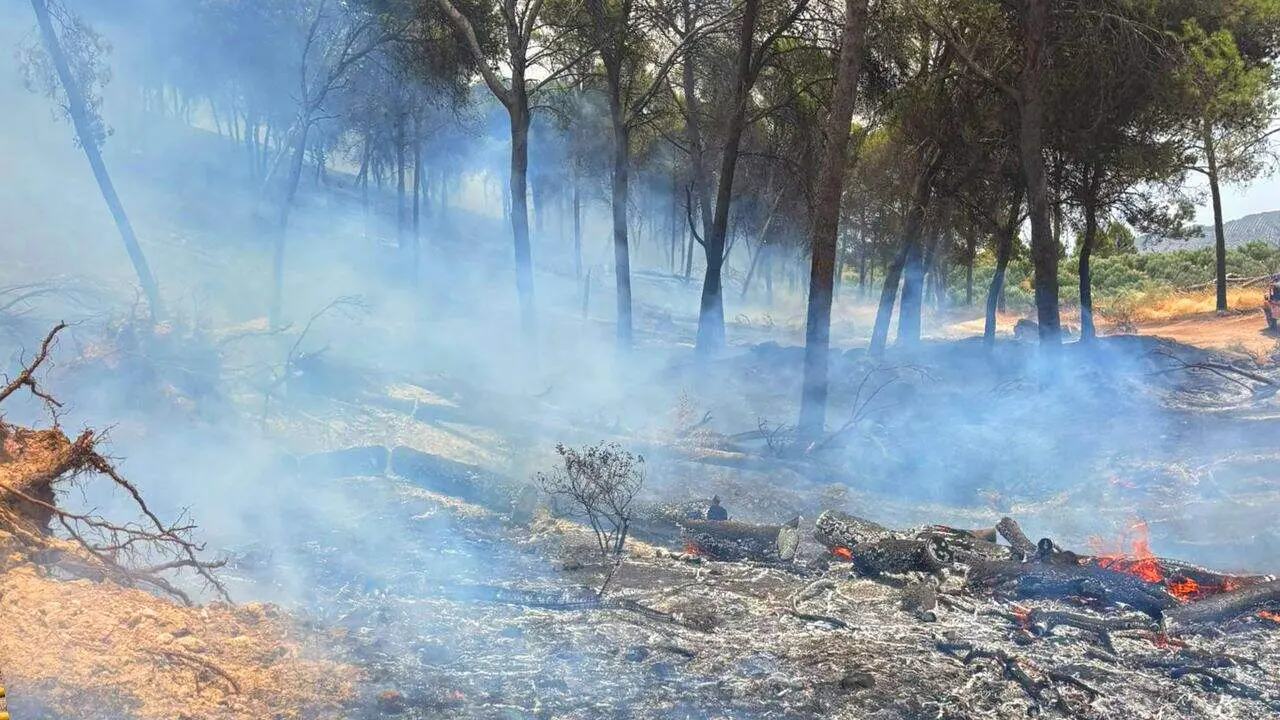 incendio-rute-3