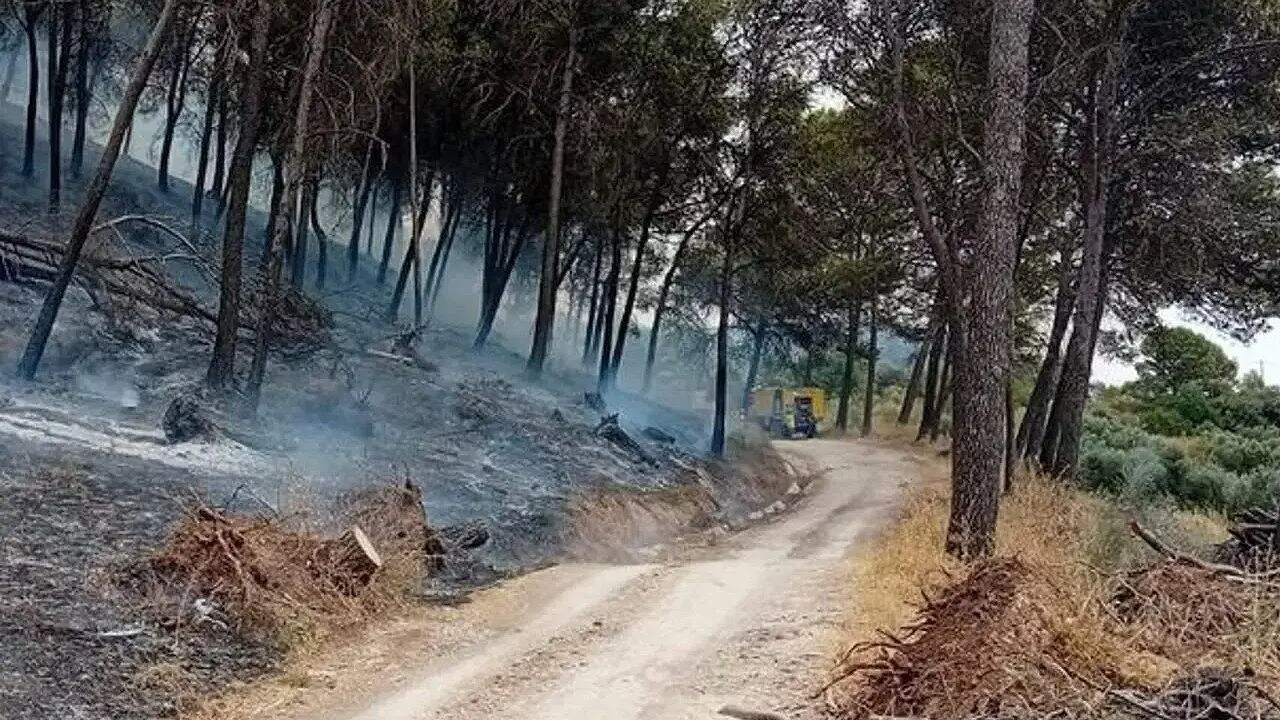 incendio-rute