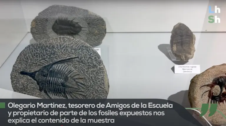 Captura de pantalla 2025-02-02 a las 15.20.38