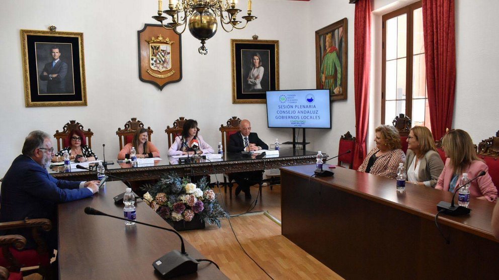 Pleno del Consejo Andaluz de Entidades Locales