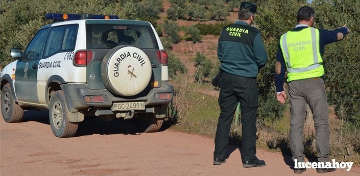 La Guardia Civil recibe una decena de denuncias por robos en el olivar. Se han practicado 27 detenciones