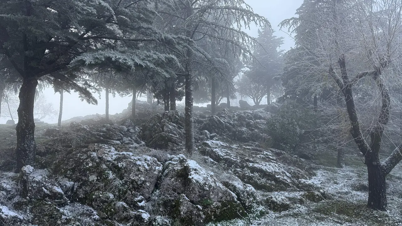 Nevada en la Sierra de Cabra-51