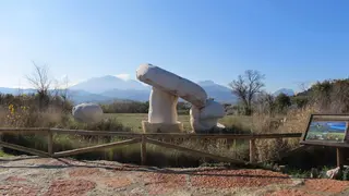 Jardín Micológico La Trufa