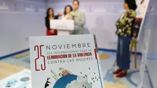 Presentaci&oacute;n de las actividades con motivo del D&iacute;a Internacional para la Eliminaci&oacute;n de la Violencia contra las Mujeres
