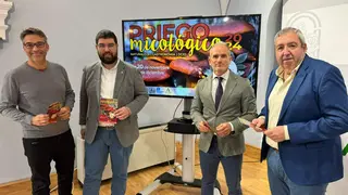Presentaci&oacute;n PRIEGO MICOLÓGICO