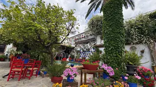 1&ordm; Premio Patios: "Patio con duende" en Rute