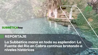 Fuente del R&iacute;o en Cabra