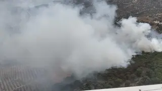 RUTE_Incendio forestal en el paraje del Pinar de Rute_(11-07-2026)_1