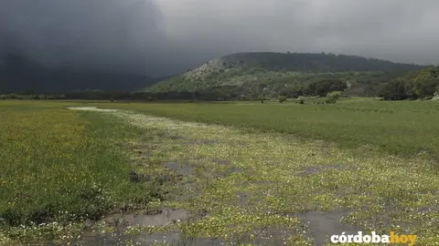 Geoparque de la Sierra Subb&eacute;tica