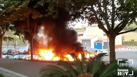 fuego cabra