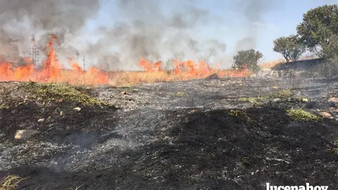 incendio poleares1