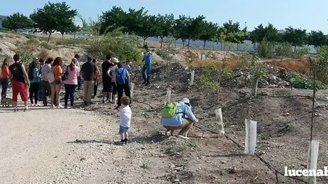 Medio Ambiente presenta el jard&iacute;n mediterr&aacute;neo que se est&aacute; creando junto a la estaci&oacute;n
