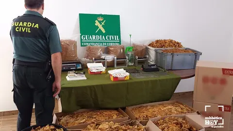 PICADURA DE TABACO BENAMEJ&Iacute;