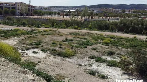 Parcela en la que se implantarán los huertos sociales