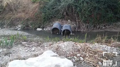 2017043019573210933