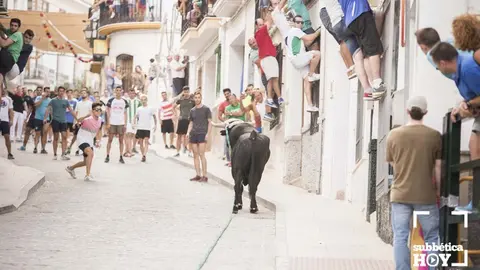 Toro de cuerda Carcabuey 13